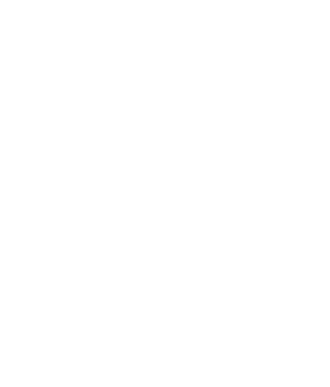 anpat-white