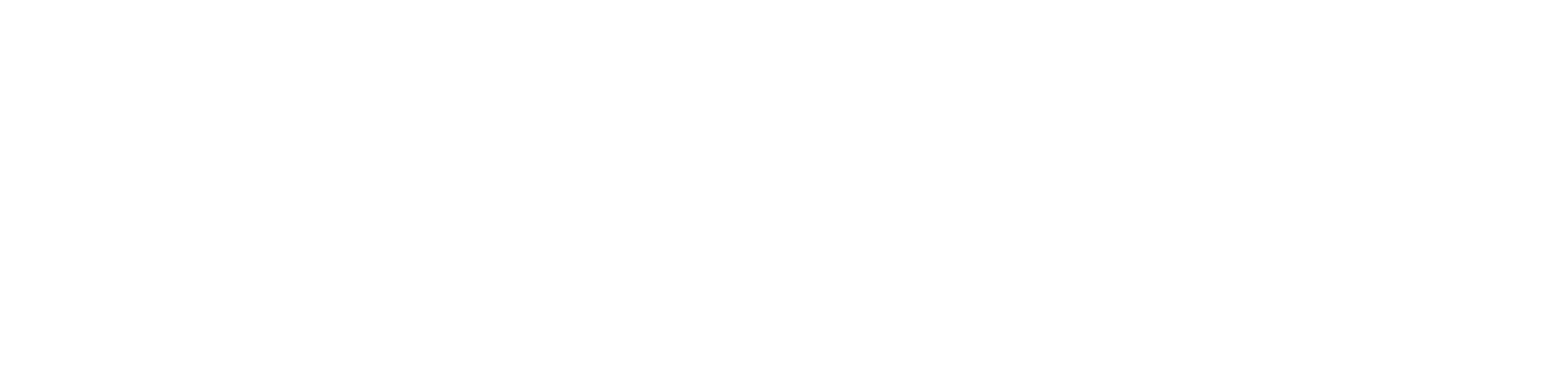 braintoy-white