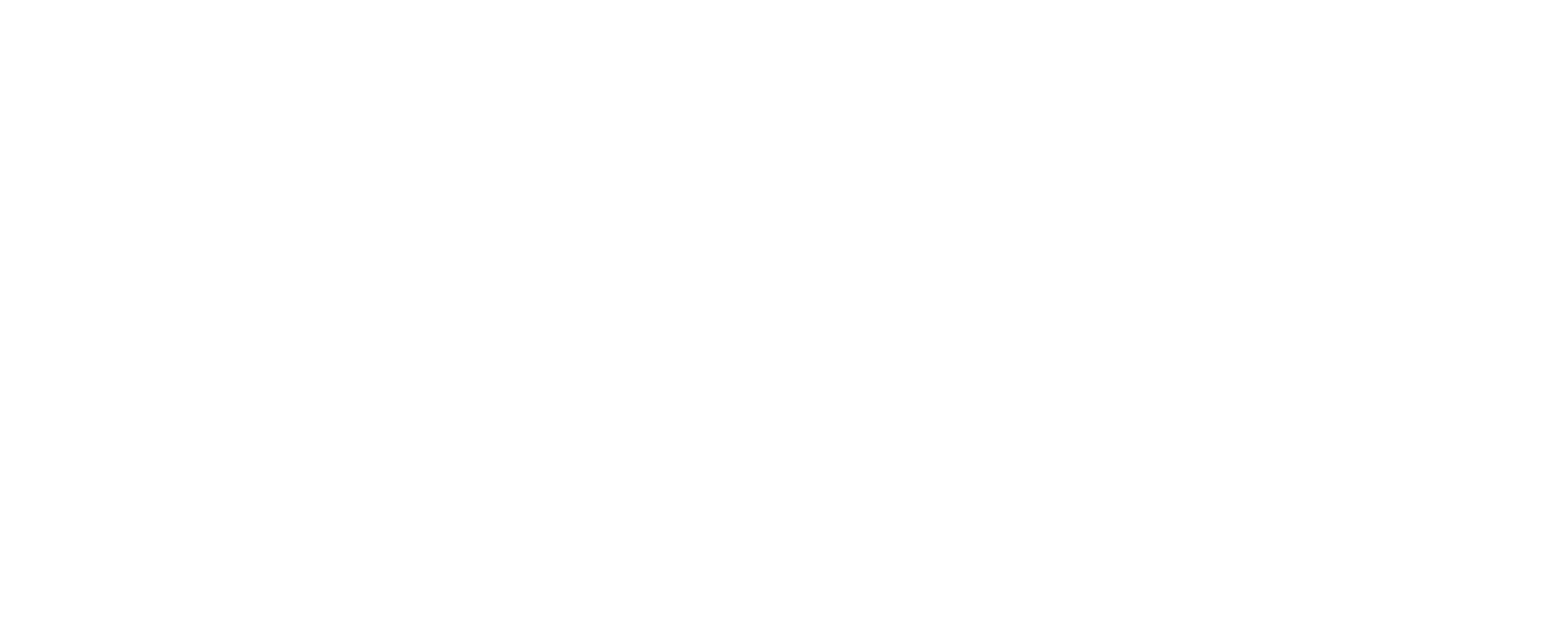 chetu-white