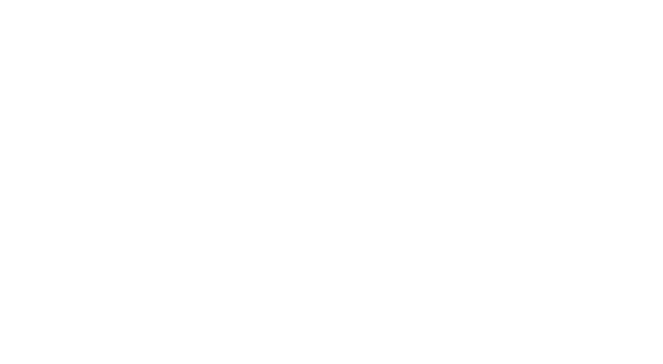 webcoir-white